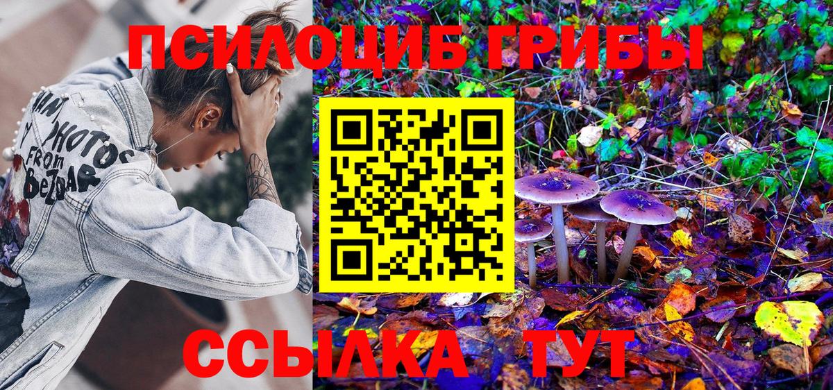 Галлюциногенные грибы GOLDEN TEACHER  Вход с VPN  Псилоцибиновые грибы Psilocybe  как найти закладки  Еманжелинск 
